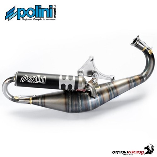 Polini big evolution muffler